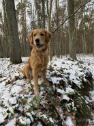 4e134ac550372aa7927228d37737f808_138x184_fill