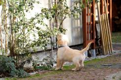 4e3a630673f3426e63aea361989dfa9d_246x164_fill