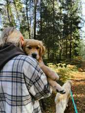 4e4a61438351794a6c0d26be615c7f3a_174x232_fill