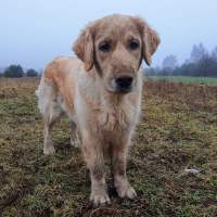 4e746df8658fa52a21bfc44537a55b8d_200x200