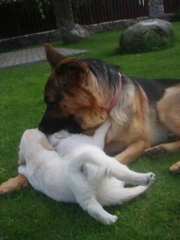 4e92b23e13dbb78030dfd8044910dd91_260x346