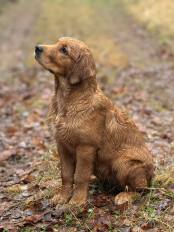 4ee32c2ace8b11fa9a06fa91ba83f55c_174x232