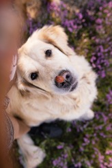 4f31aa7f4ec3e681b057bccd2e8e4026_164x246