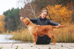 4f5de4a801f5a8b307c71ea113c352b3_245