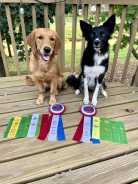 4f683b2d9df40f1f0c89990cdc5607e6_138x184_fill