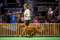 4fb702452670d6a1029338e9dea09065_246