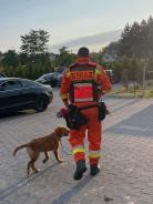 5067ec6a7b4bbff1d964eafe2db8ac3d_138x184_fill