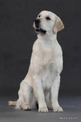 512309733f82e6f91ce1d086d8928e06_164x245