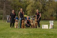 5162b49a1fa157546ce4c36fa7384989_195