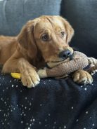 518b178de1197498b6d2a94a4f3dee6b_138x184_fill