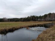 52176549813e54f79c2552043da89ab7_184x138_fill