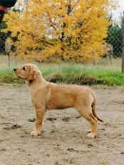 521a4d2a797f3ae464264357d84488d6_174x232_fill