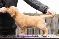 5257415e104907f66f2ec430d2f11303_195x130_fill