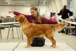 526533ef9c074cd44ae8a75491d6c16f_246