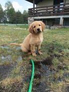 5265cd3b27dbf9b008f90d661af86c9b_138x184