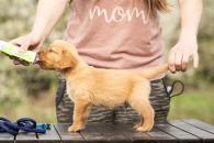 5295ad25808c36210d3ee8b8e90daf7d_195x130_fill