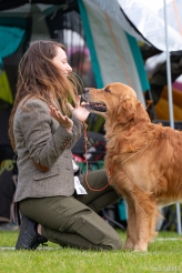 529bfc00665c33ba6cf6258cfaa523df_164x246