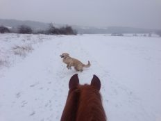 52a44d8687cd45a84f55b17997edc5b3_232x174_fill