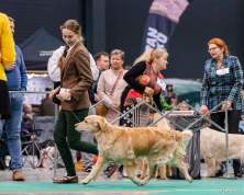 52c4e931a0c6b9a6d0e53fad4b481145_222