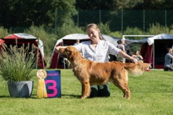 52e8461c5da9fc05709f39101ef9cd9f_246