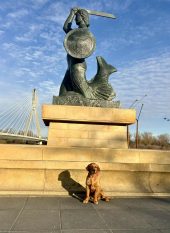 52edf64976b592e41532a8df1a03139d_170x233