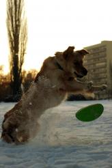 52f25798671d446bfcf779f95acba803_164x246