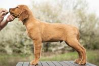 52fbec5d8d2e2ffc87388e9b6941cdc7_195x130_fill