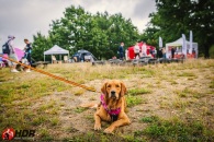 5312ec5d1f859f159fbd1dd44d533d66_195