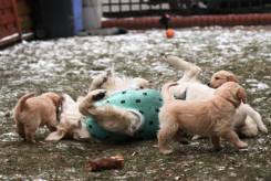 533eafb5d82bed66c32caff7a01e2b33_245