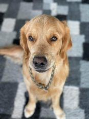 53e3deb0cb3507985f57ca6456a1c9aa_174x232_fill