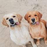 53f48d8cff396d54f302108e3f0b1440_160x160_fill