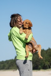 53fe878d2b05f20e0d19e23d5f6010c1_164x245