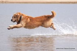 541549efcefe49095867cdc2ff49f8ee_246x164_fill