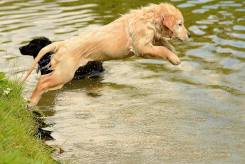 541d86181d6745060cf8e25dbe85ad25_245