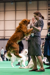 5439a97458faacc875fba64dd8ed480d_164x246