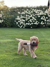 546db6daaa4b75044bc9f443075c3948_174x232_fill