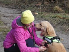 549446250a6d5042107ebb1a515104f0_232x174_fill