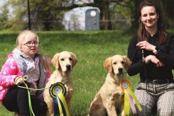 54a43205abe9e683935e41d202d7cd83_245