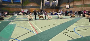 552b893d12991f21afb67355a1fd8fb6_294