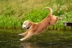 55456e3b77128a4e6d8b9fc9ccb6a8c6_246x164_fill