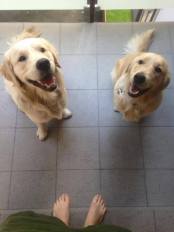 555efb7a75679fbca3247288e09ad852_174x232_fill