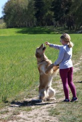 555f8b676ba541ec0ee398a60bb16231_164x244