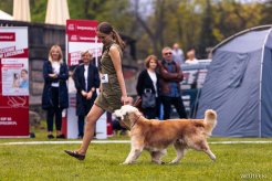 55b6c024bf2564d516616e0d72d82d24_246