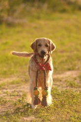 55efcb809e4494e6792a1d852daeffb3_164x246