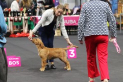 563ce71b9e0cfc0b1108fabc598ee2b3_246