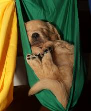 566c91d084e1daa1d4ea0942f96b1299_182x221