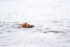 56b757e65fd43d0e04006815d3a04bf7_245