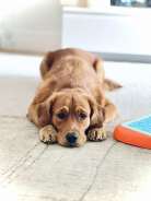 56d94dcfcd7d7ac0fa4889bfec7b04a4_138x184_fill