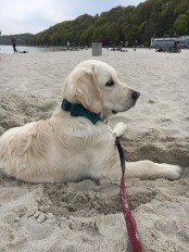 56fd4bdefa8ee63ce4caaca9fb864a4b_174x232_fill