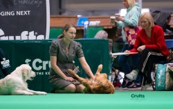 578b9fbfdf182bc37c1c98ae082bb568_250